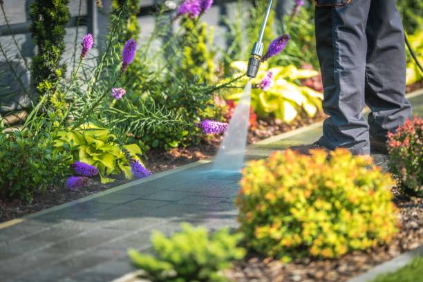 Best Winterizing Services  in Mission Bend, TX